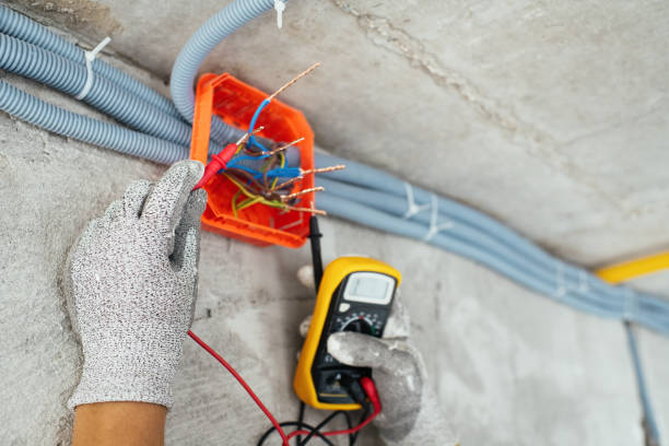Best Local Electrician Companies  in Winter Park, FL